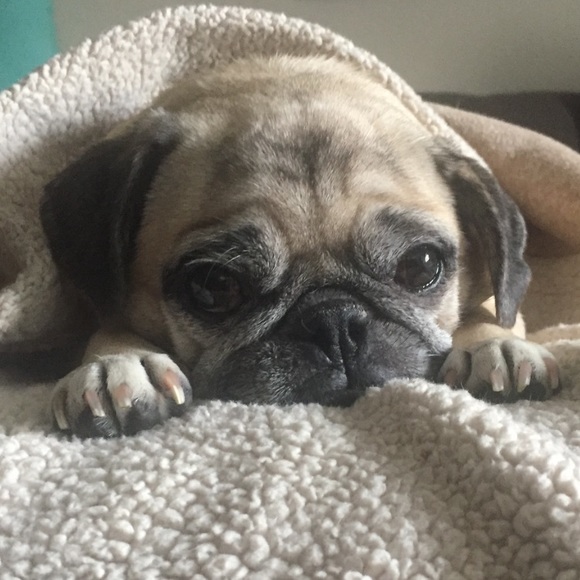 Meet your Posher, Taryn - Picture 2 of 2